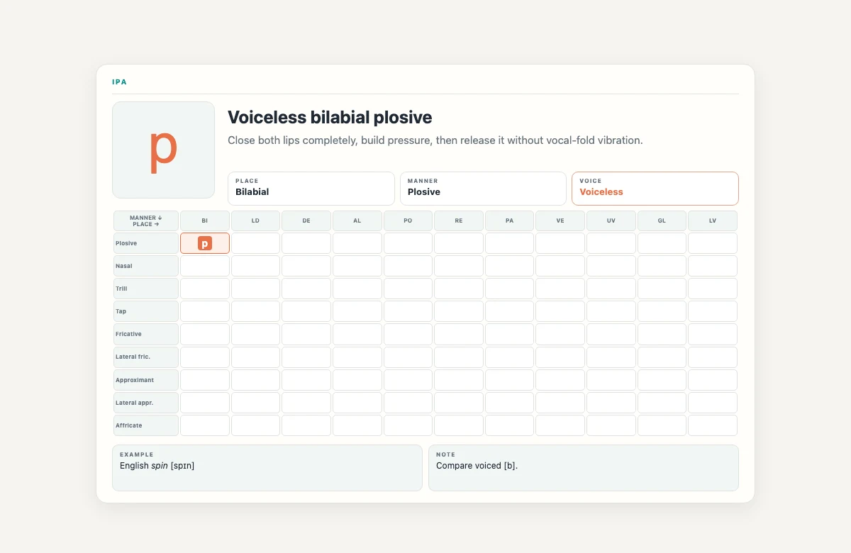 IPA: sample card answer for the voiceless bilabial plosive